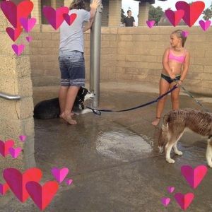 Meet your Posher, Roshelle